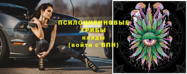 круглые Каменка