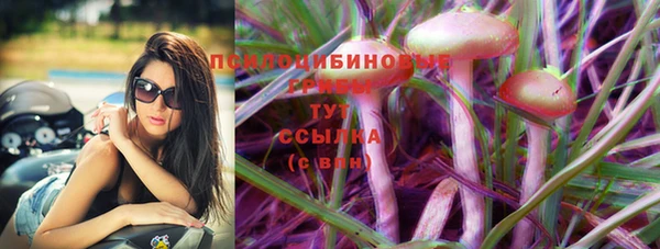 круглые Каменка