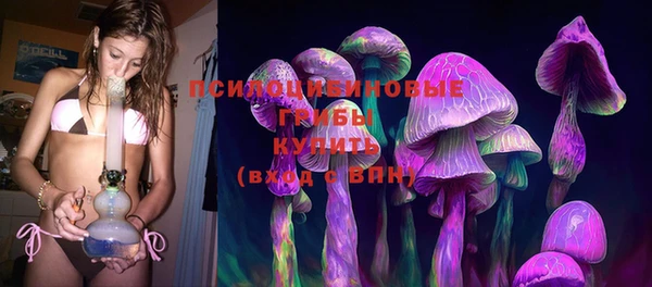 круглые Каменка