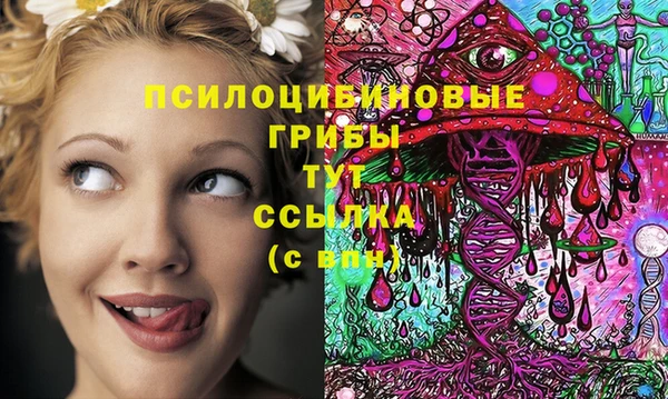 круглые Каменка